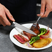 Manche en résine de marbre ambré de haute qualité 4 pièces ensemble de couteaux à steak avec acier à haute teneur en carbone 5Cr15Mov