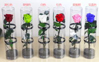 AX-36 Fabrik Langstielige Konservierte Rosen Echte Blumen in Verschiedenen Farben für Erntedankfest, Ostern, Weihnachten, Valentinstag, Muttertag