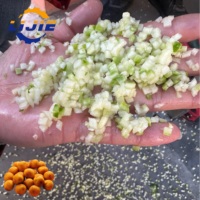 Commerciële industriële fruit- en groentesnijder voor kokosnoot, mango en ananas