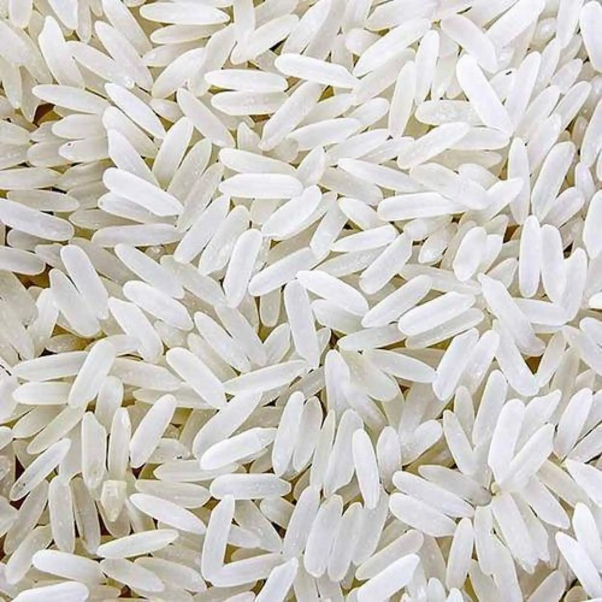Riz superlatif Goût exquis de riz pakistanais de qualité supérieure Meilleur exportateur de riz basmati et non basmati