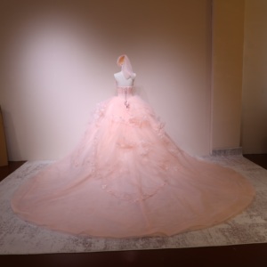 <span class=keywords><strong>Robe</strong></span> de mariée corset rose poudré, coupe cœur, en tulle floral 3D, ligne A, longueur ras du sol, pour mère de la mariée, grandes tailles, sur mesure, vente en gros - Product Image 3