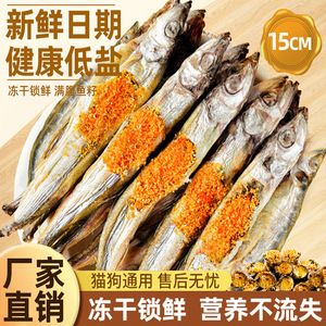 อาหารสัตว์เลี้ยงแคปเปลินฟรีซดราย 100 กรัม โปรตีนสูง ขนมสำหรับลูกแมว ขนมเคี้ยวเพื่อสุขภาพฟัน - Product Image 2