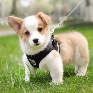 Corgi <b>Harness</b> Vest Style Adjustable Dog Walking Leash Small Medium Sized Pets Chest Strap Polyester Material Solid Color - Product Image 1