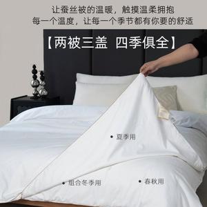 <b>Handmade</b> Mulberry Silk <b>Quilt</b> 100% Cotton 3-4 Jin Four Seasons Home Use - Product Image 5