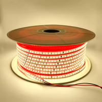 Tira de LED de Alto Voltaje AC 220V Personalizada, Sin Controlador, Impermeable IP44, Flexible, Tipo Neón, para Proyectos Arquitectónicos, Lámpara Elegante