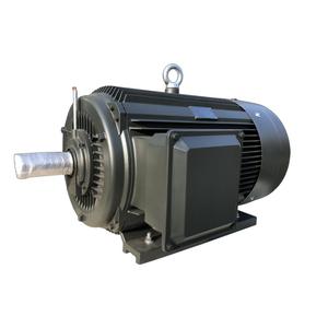 มอเตอร์เหนี่ยวนำแบบอะซิงโครนัสสามเฟสประสิทธิภาพสูงมาตรฐาน YE/IEC รุ่น YE-W - Product Image 2