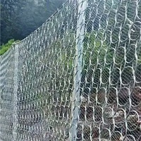 Filet de maille de câble métallique d'acier inoxydable/réseau de protection de pente de sns