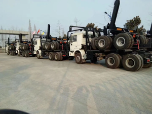 China Howo <span class=keywords><strong>Camion</strong></span> lourd <span class=keywords><strong>6x4</strong></span> toutes roues motrices Nouveau carburant diesel usagé Remorques de transport de bois Vente de camions d'exploitation forestière en Afrique - Product Image 5