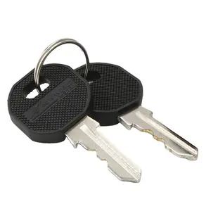 custom designed nickel plated steel blank keys