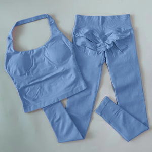 Conjunto de Shorts de Yoga sin Costuras con Logotipo Personalizado en 27 Colores, con Sujetador Deportivo Halter sin Espalda, Cintura Alta, Elástico, para Gimnasio y Entrenamiento, para Mujer - Product Image 6