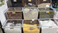 Présentoir à compartiments incurvés en acrylique, distributeur de bonbons, bacs à céréales et fruits secs, conteneurs de rangement pour aliments en vrac