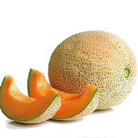 Poudre de melon Hami soluble dans l'eau de haute qualité, prix usine, poudre de melon Honeydew, poudre de jus de cantaloup