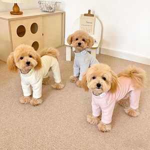 24-hour delivery of new four-legged <b>dog</b> <b>clothes</b>, woolen undershirt, anti-shedding belly wrap, <b>small</b> puppy pet <b>dog</b> <b>clothes</b> - Product Image 2