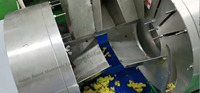 Matériel de lavage et de séchage des légumes Machine de traitement des épices au gingembre et à l'oignon Ligne de production de poudre de gingembre végétal