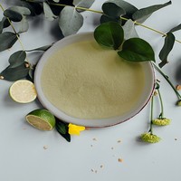 Acides aminés de qualité alimentaire pour animaux (L-tert-Leucine) CAS 20859-02-3 Favorise la nutrition et la croissance saine