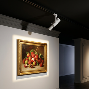 Projecteur LED de contour modulable 10W 30W CRI97, intensité variable et zoomable, pour musées, galeries d'art et magasins de détail - Product Image 5