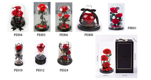 OEM ODM Rosa Rossa Eterna Romantica Sotto Cupola di Vetro, Regalo Floreale Conservato <span class=keywords><strong>per</strong></span> <span class=keywords><strong>Lei</strong></span> - Product Image 4