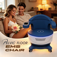 Appareil de stimulation magnétique Source Direct Made pour soins post-natals, siège de fitness médical et esthétique pour le plancher pelvien