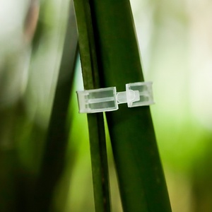 Clips de soutien <span class=keywords><strong>pour</strong></span> plantes en plastique <span class=keywords><strong>pour</strong></span> jardinage, petits clips blancs, noirs, gris, <span class=keywords><strong>pour</strong></span> soutenir les tiges de plantes, clips de greffage <span class=keywords><strong>pour</strong></span> tomates et concombres - Product Image 5