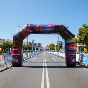 Precio de fábrica Publicidad Evento deportivo Decoración Arco inflable Eventos Run Target Arco de <span class=keywords><strong>entrada</strong></span> inflable para la venta Alquiler - Product Image 6