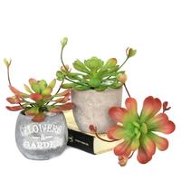 Plantes Artificielles de Luxe Automnales Personnalisées en Pot, Végétation Artificielle en Gros, Fausses Plantes Succulentes Réalistes pour Cimetière