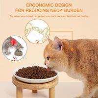 Bol surélevé pour chat avec support en bambou, station d'alimentation en céramique pour chats d'intérieur