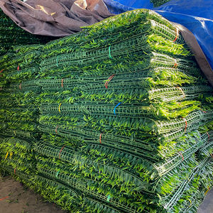 Mur de gazon artificiel Mur vertical pour <span class=keywords><strong>plantes</strong></span> Mur vert Jardin vertical - Product Image 2