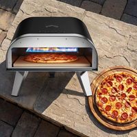 Four à pizza extérieur en acier inoxydable durable, portable, à gaz, pour le camping