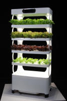 Jardin intelligent d'intérieur, armoire hydroponique intelligente pour légumes, agriculture verticale, systèmes de culture hydroponique à domicile