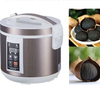 Fermenteur d'ail noir intelligent Boîte de fermenteur professionnelle Machine de fermentation biologique Cuisine à domicile