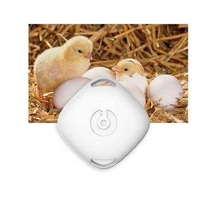 SigmaWit-sensor de temperatura para reptiles, termómetro azul para mascotas, gallinero, nuevo diseño - Product Image 5