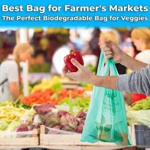 HDPE LDPE PE биоразлагаемый пластырь для переноски полиэтиленовых мусорных футболок, машина для изготовления пластиковых пакетов, цена - Product Image 2