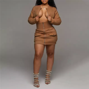 Tenues pour femmes à manches longues, vêtements pour femmes, robe, veste à fermeture éclair, ensemble jupe, matériau épais, manteaux - Product Image 3