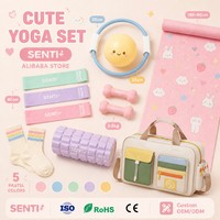 Kit de yoga portable tout-en-un avec logo personnalisé, équipement de Pilates, haltères en silicone, bande de résistance, bloc, mini ballon, anneau de Pilates, tapis de yoga