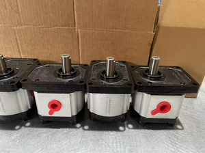 ปั๊มไฮดรอลิก CBW-F306-CLP ปั๊มเกียร์ไฮดรอลิกชุด cbw CBW-F320-CFP CBW-F314-CLP CBW-F320-ALP CBW-F310-CFB - Product Image 2