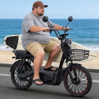 Vélo électrique à bas prix vente à chaud E Bicycle 350W 48V Prix à bas prix Vélo électrique à gros pneus Vélo électrique de ville