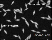 Nanorodules d'or liquides (Au) de qualité réagente, solubles dans l'eau, 610 nm, 10 ml, plusieurs tailles disponibles, pour la recherche en laboratoire et la bio-ingénierie