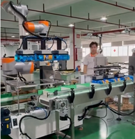 Machine d'emballage robotisée Cobot pour boîtes, sacs, bouteilles et cartons – Lignes d'emballage