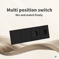 Interruptores y Enchufes de Pared WESA Ultrafinos con Botón Pulsador EU de 1/2/3 Vías con Enchufe USB Tipo C, Combinación Libre, Diseño Moderno de Lujo