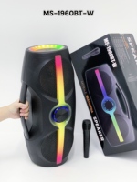 Haut-parleur portable sans fil Bluetooth avec microphone et caisson de basses 24W, lecteur sport pour la maison, cadeau, fête RGB MS-1960BT-W