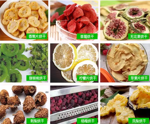 AMS-80 - Máquina Secadora Solar de Frutas y Verduras, Equipo de Secado Solar - Product Image 6