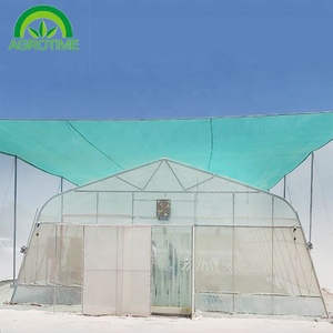 Invernadero de película polivinílica de 200 micras, túnel barato con sistema hidropónico para verduras - Product Image 2
