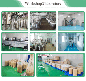 Fabriekslevering Hoge Kwaliteit <span class=keywords><strong>Bletilla</strong></span> <span class=keywords><strong>Extract</strong></span> Poeder <span class=keywords><strong>Bletilla</strong></span> Striata Poeder Voor Een Goede Gezondheid - Product Image 4