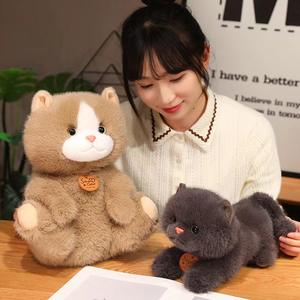 Vente en gros de jolies peluches de chat brodées multi-styles et d'ours en peluche doux, beaux cadeaux pour les filles et les enfants - Product Image 2