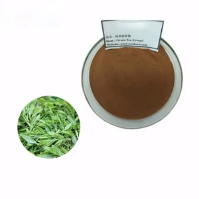 Polvo de extracto de té verde blanco orgánico instantáneo, 100%, 95%