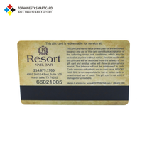 Cartes de Visite Professionnelles en PVC avec Logo CR80 Loco/Hico Barcode VIP Magnetic Stripe NFC RFID Giftcards