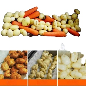 Commercial Fruit and <b>Vegetable</b> Washer Peeler Machine <b>Brush</b> Roller for Potato Lotus Root Taro Carrot Radish Ginger Cassava - Product Image 6