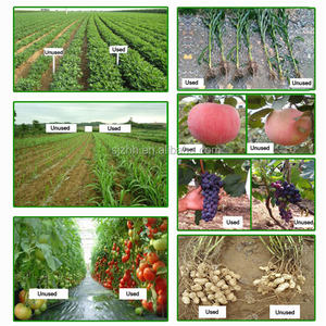 Agriculture <span class=keywords><strong>Engrais</strong></span> <span class=keywords><strong>npk</strong></span> soluble dans l'eau 27 13 13 <span class=keywords><strong>npk</strong></span> 9 25 25 <span class=keywords><strong>npk</strong></span> <span class=keywords><strong>engrais</strong></span> <span class=keywords><strong>30</strong></span> <span class=keywords><strong>15</strong></span> 10 - Product Image 4