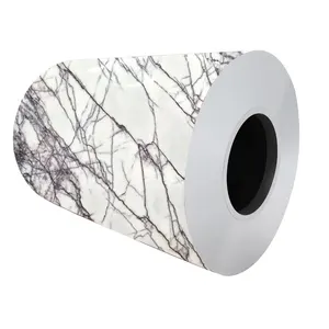 PPGI Marble Print Good Quality 0.2mm Thickness Marble Surface Coated Steel Coil PPGI