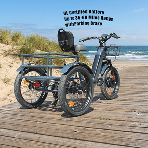 Vélo électrique à 3 roues 500W, tricycle électrique pour adultes, trike cargo, vélo électrique confortable pour les <span class=keywords><strong>courses</strong></span> urbaines - Product Image 1